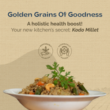 Milletry Kodo Millet Grain, Protein &amp; Fibre Superfood Millets Whole Grains, Helps with Digestion, for Pancake, Dosa, Porridge, Low Glycemic Index, Gluten Free Millets Food(750gm Millets in Fresh)
